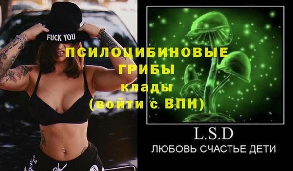 дмт Алзамай