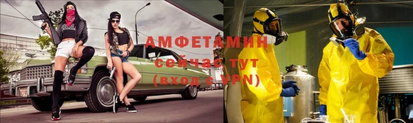 PSILOCYBIN Вяземский