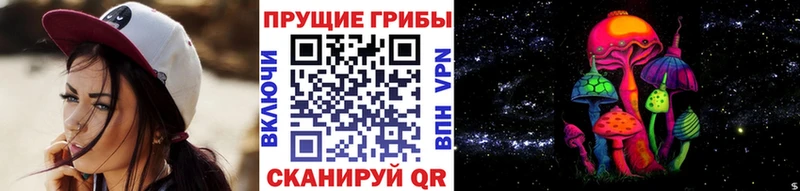 наркота Игра Псилоцибиновые грибы Cubensis